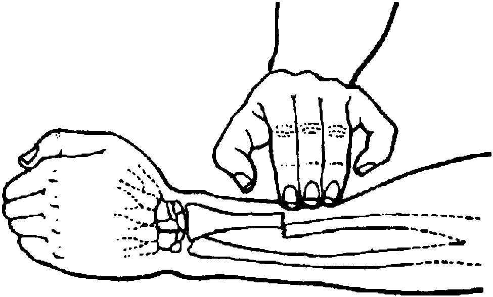 一利用触诊进行判断